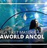 Perbedaan Tiket Reguler Dan Annual Pass Seaworld